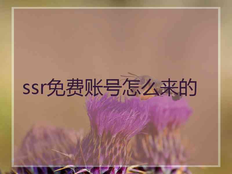 ssr免费账号怎么来的