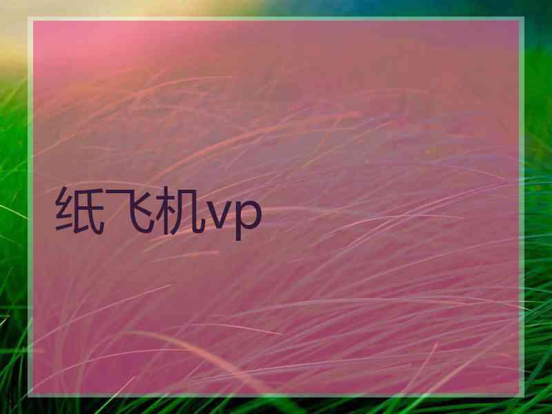 纸飞机vp