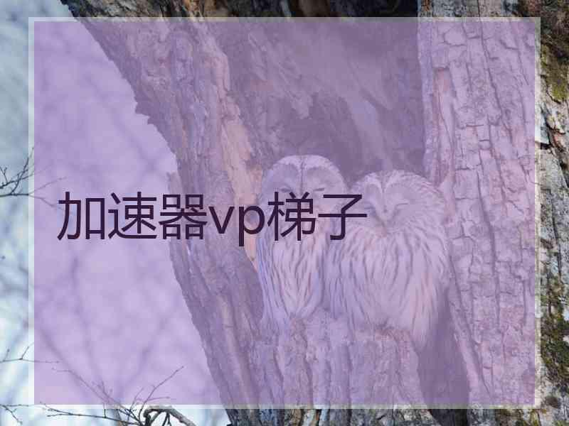 加速器vp梯子