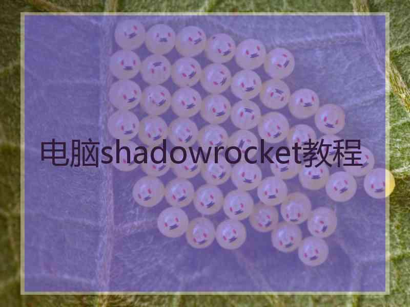 电脑shadowrocket教程