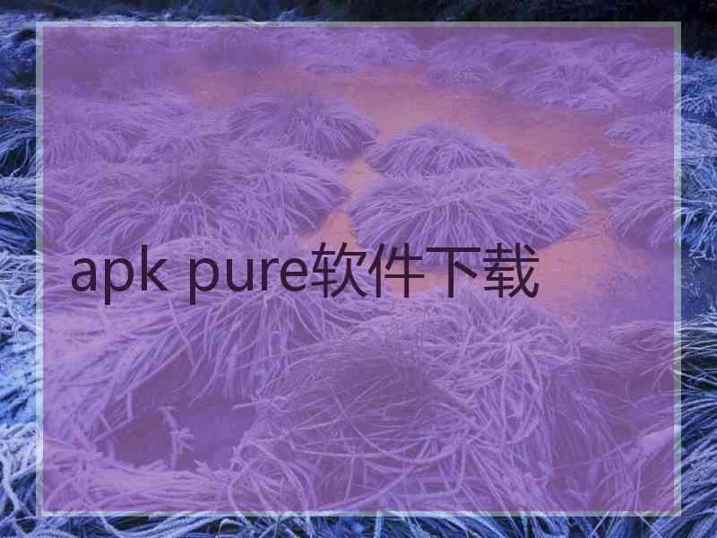 apk pure软件下载