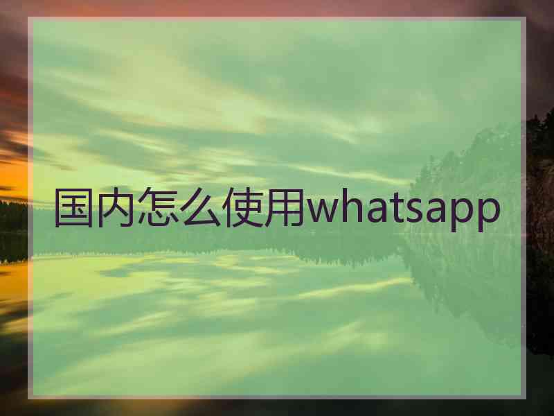 国内怎么使用whatsapp