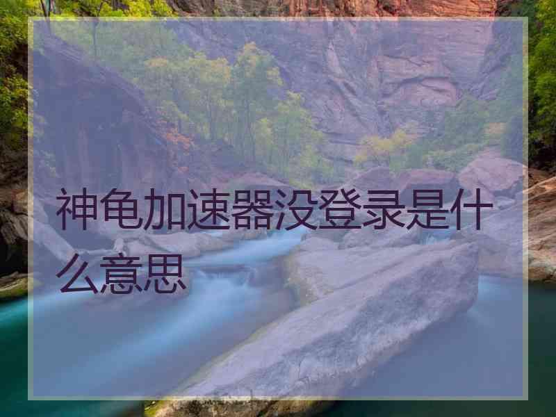 神龟加速器没登录是什么意思