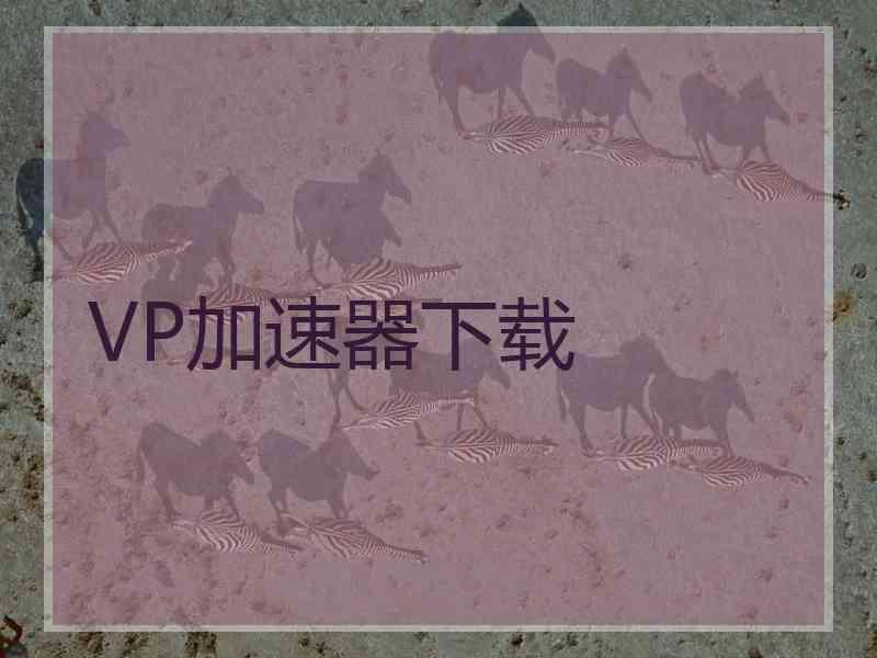 VP加速器下载