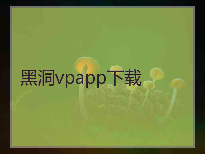 黑洞vpapp下载