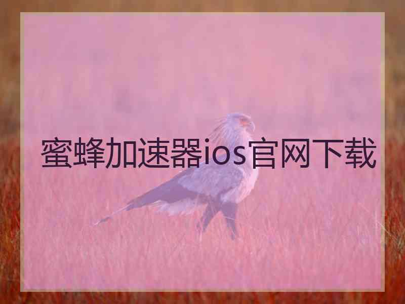 蜜蜂加速器ios官网下载