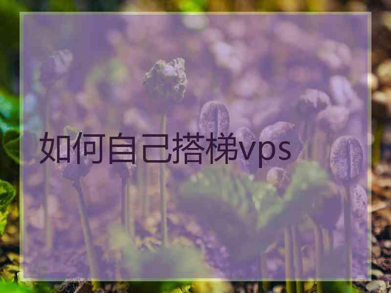 如何自己搭梯vps