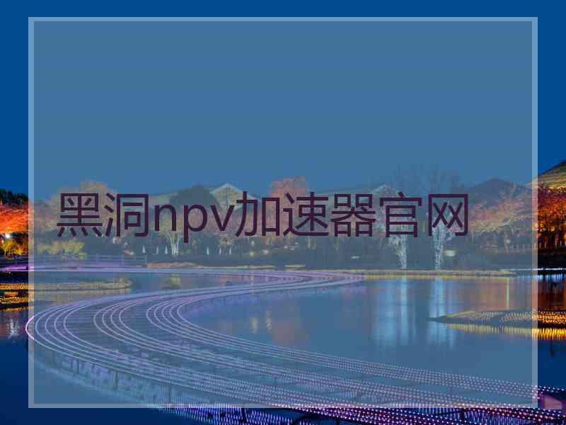 黑洞npv加速器官网