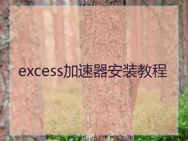 excess加速器安装教程