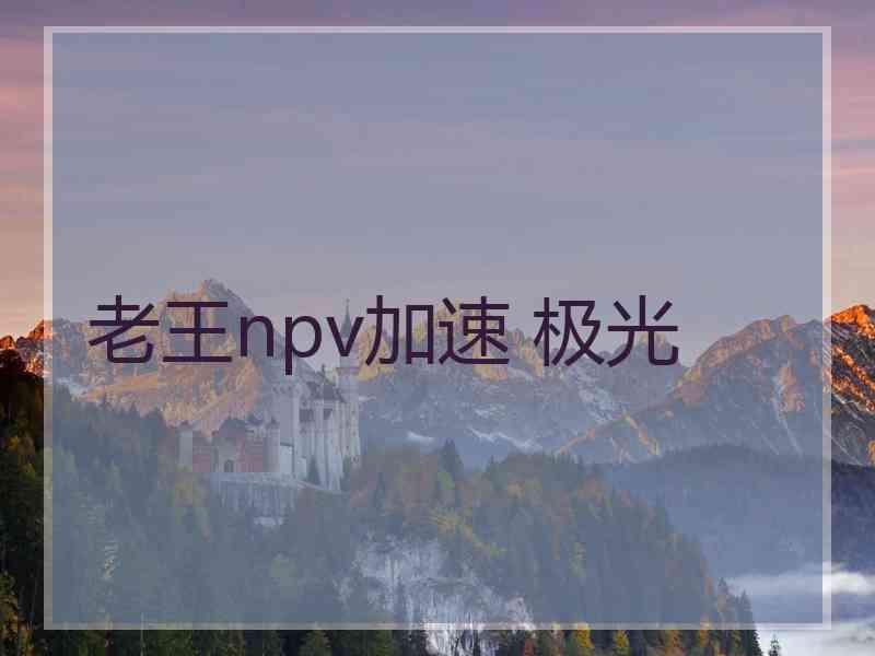 老王npv加速 极光