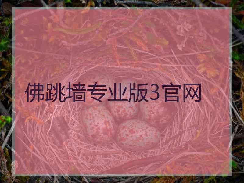 佛跳墙专业版3官网