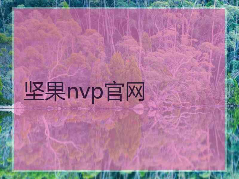 坚果nvp官网