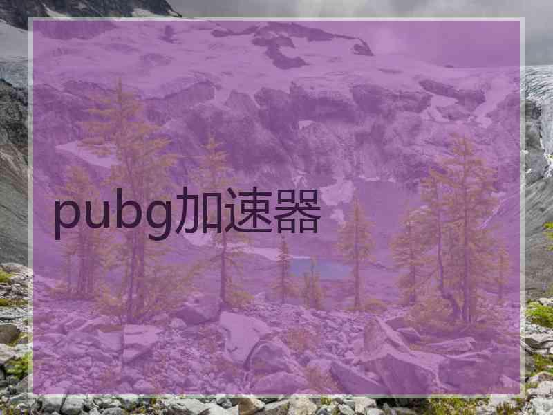 pubg加速器