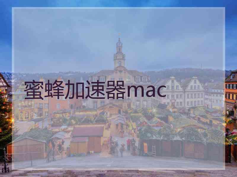 蜜蜂加速器mac