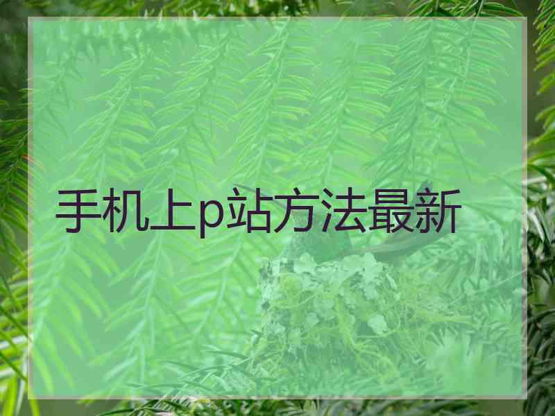 手机上p站方法最新