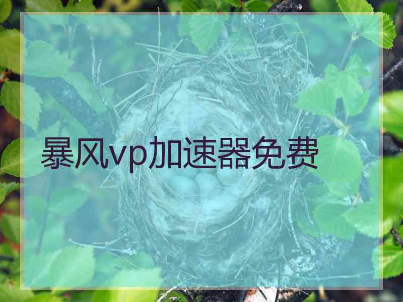 暴风vp加速器免费