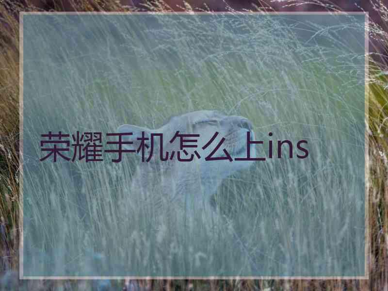 荣耀手机怎么上ins