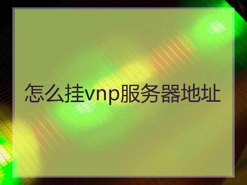 怎么挂vnp服务器地址