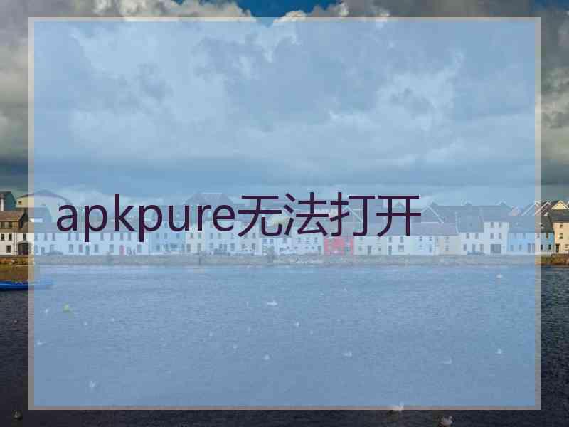 apkpure无法打开