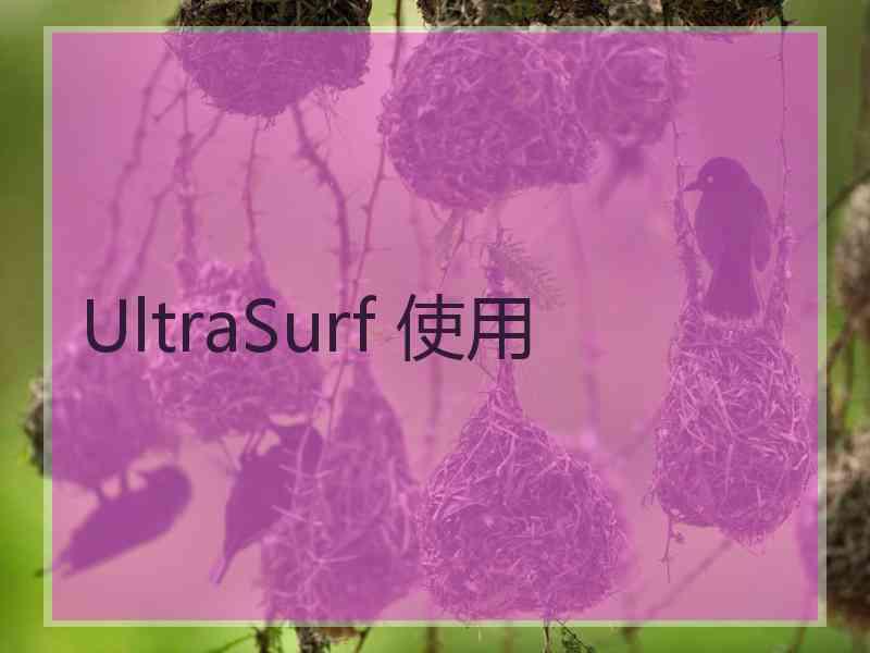 UltraSurf 使用