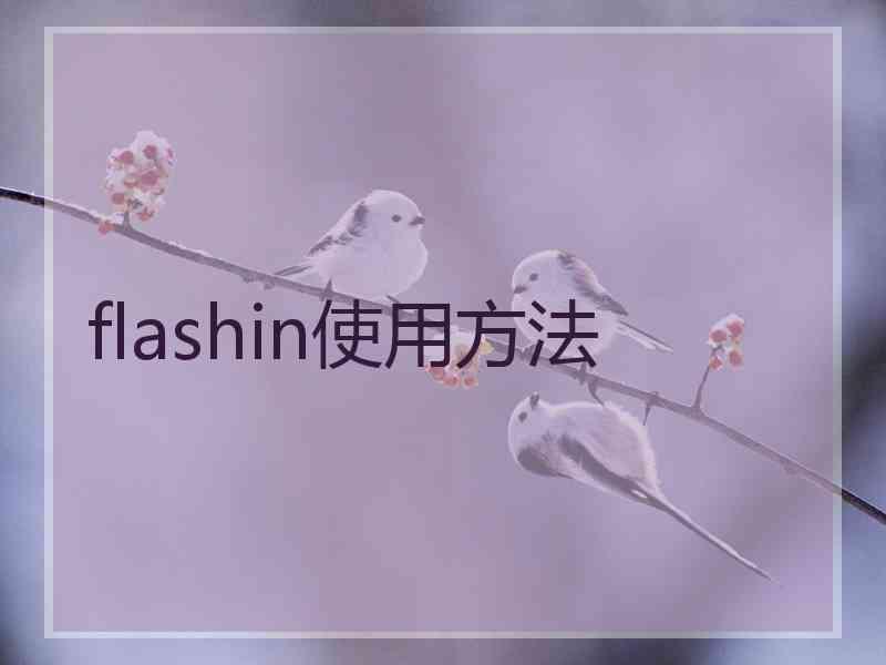 flashin使用方法