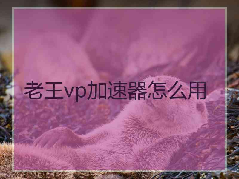 老王vp加速器怎么用