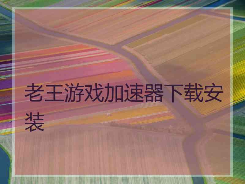 老王游戏加速器下载安装