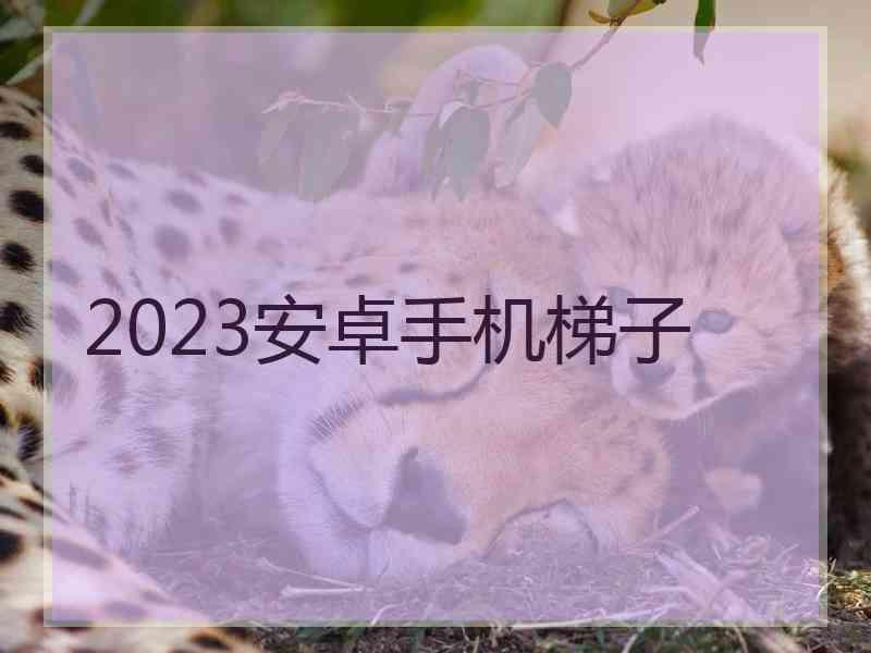 2023安卓手机梯子