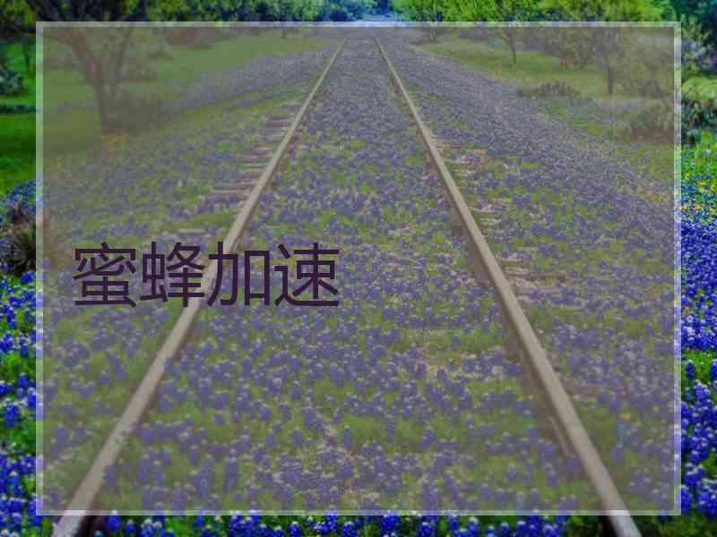 蜜蜂加速