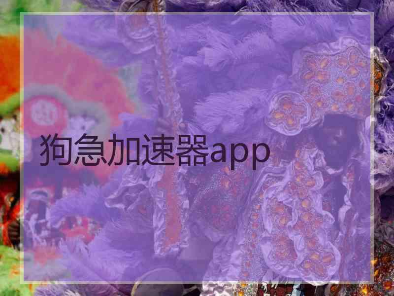 狗急加速器app