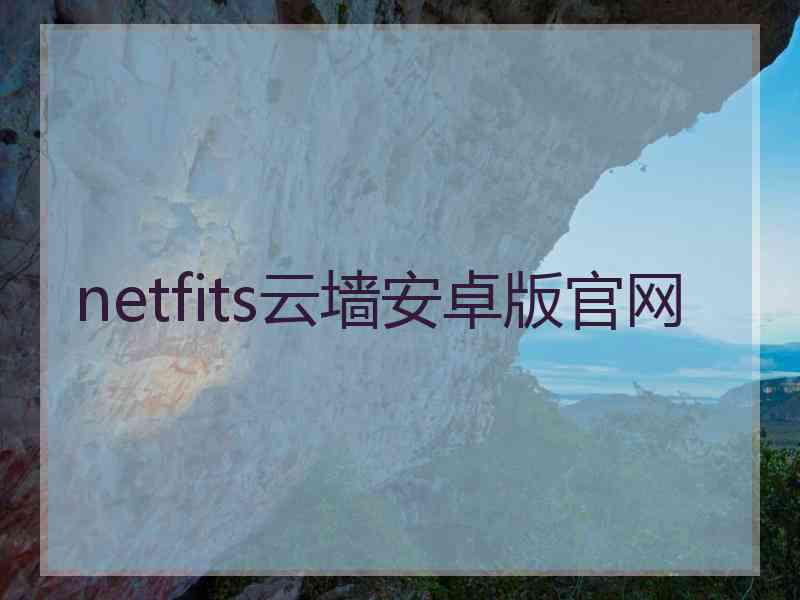 netfits云墙安卓版官网