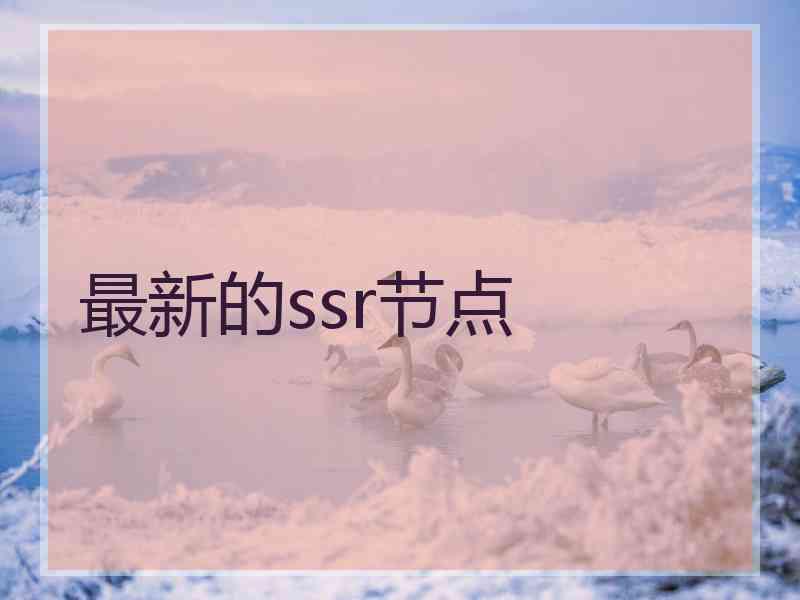 最新的ssr节点