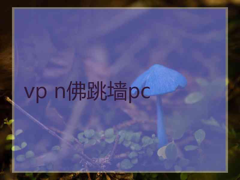 vp n佛跳墙pc