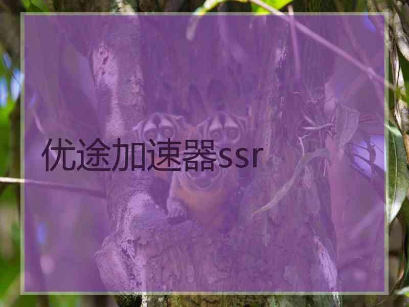 优途加速器ssr