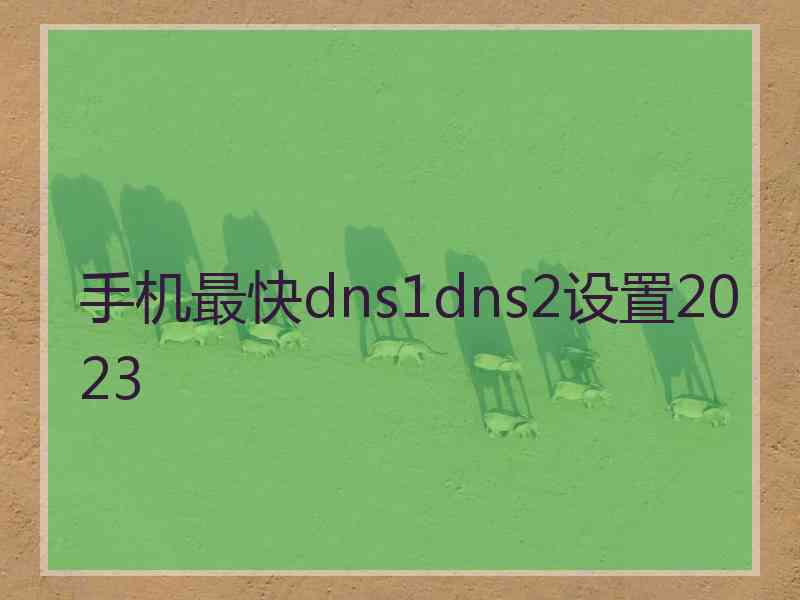 手机最快dns1dns2设置2023