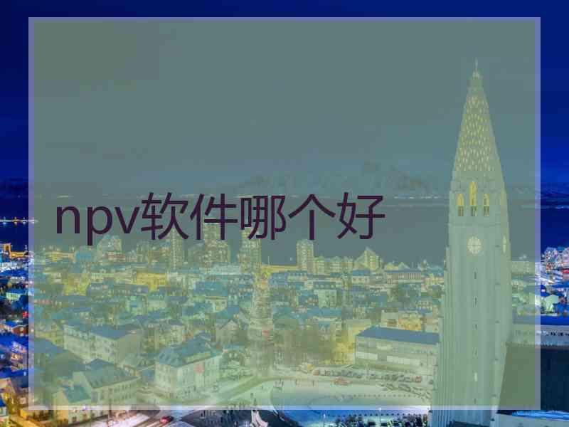 npv软件哪个好