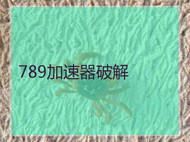 789加速器破解