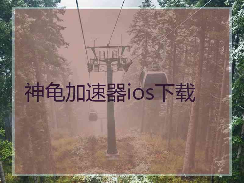 神龟加速器ios下载