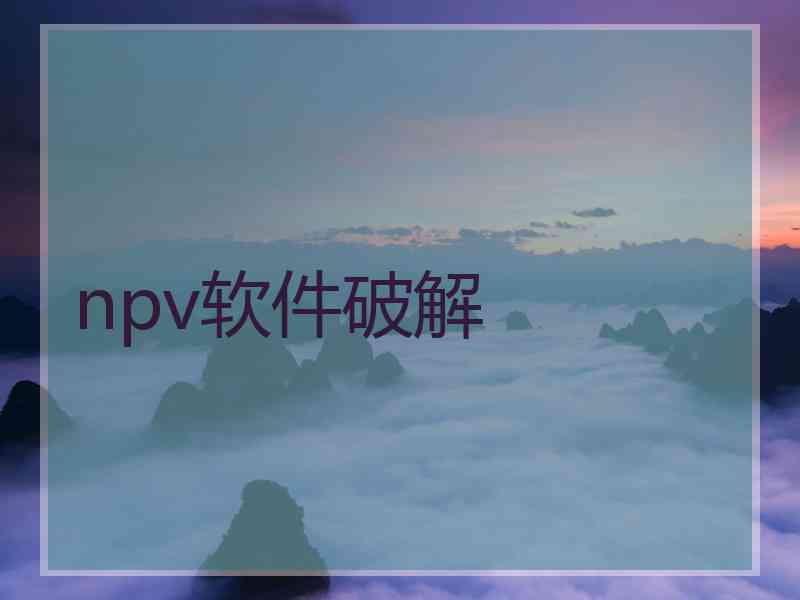 npv软件破解