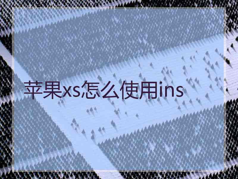 苹果xs怎么使用ins