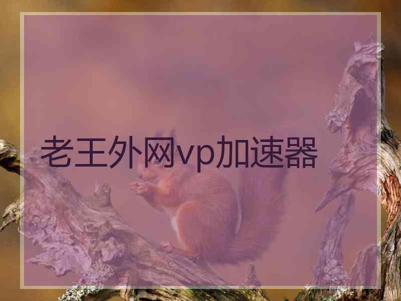 老王外网vp加速器