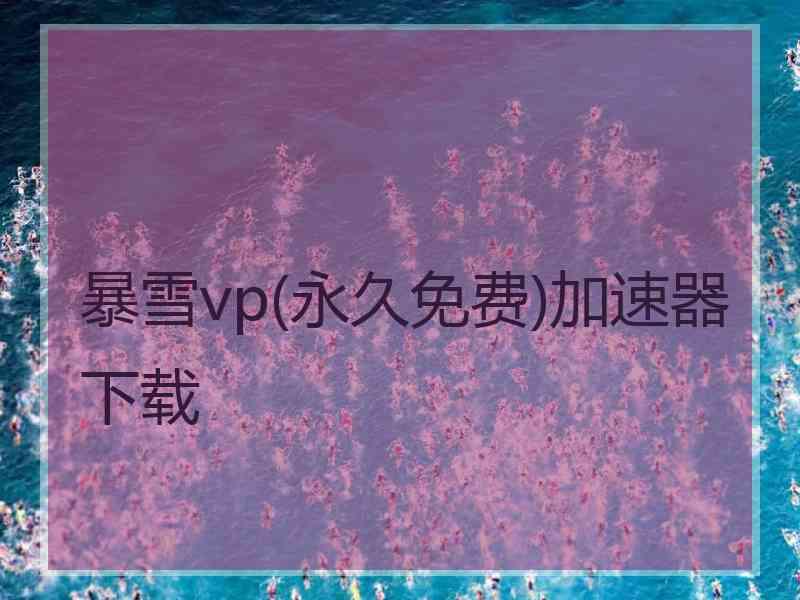 暴雪vp(永久免费)加速器下载