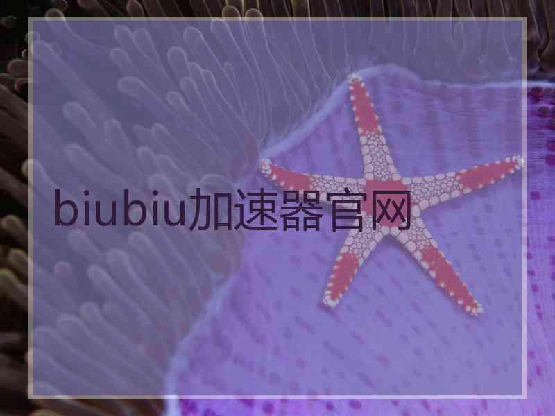 biubiu加速器官网