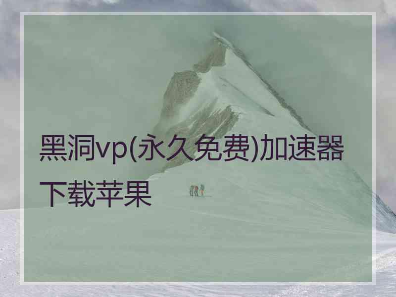 黑洞vp(永久免费)加速器下载苹果