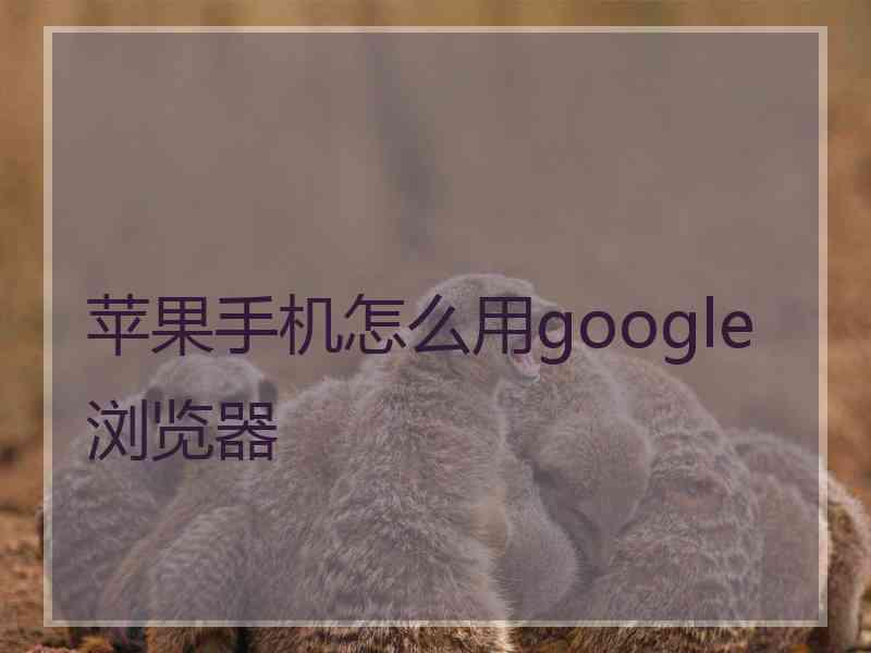 苹果手机怎么用google浏览器