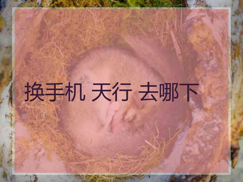 换手机 天行 去哪下