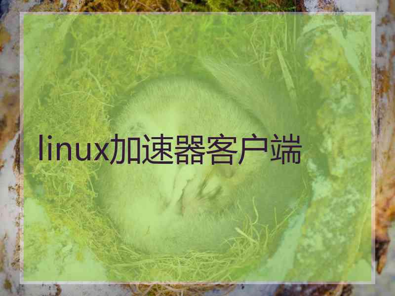 linux加速器客户端