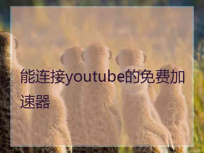 能连接youtube的免费加速器