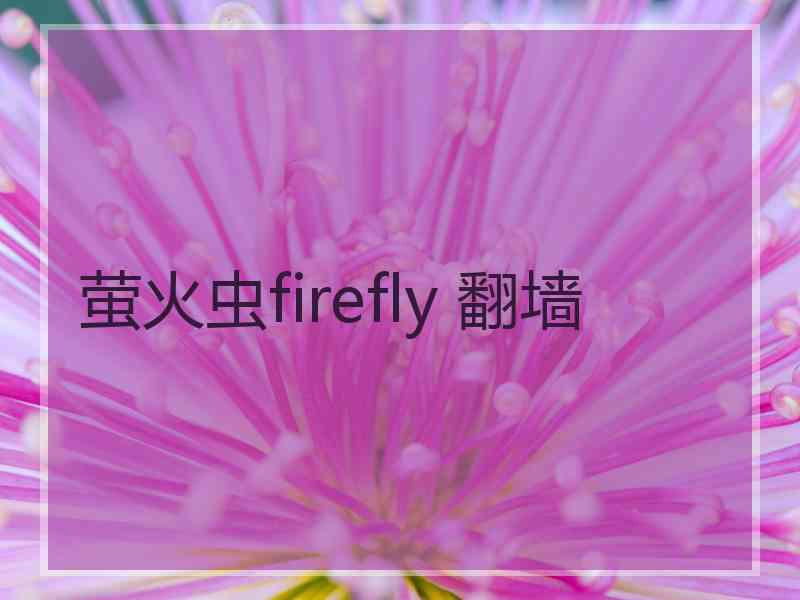 萤火虫firefly 翻墙