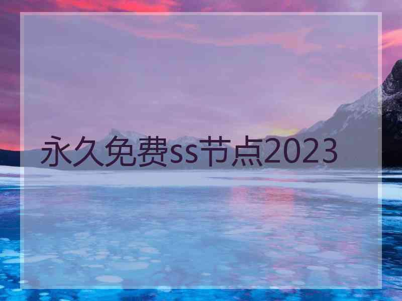 永久免费ss节点2023